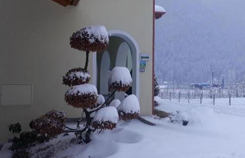 Agritur Melissa - Foto 31