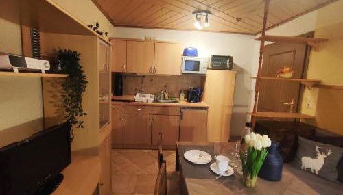 ansimali 2 - Apartment mit Wohn- und Schlafraum, integrierter Küchenzeile, separater Dusche und WC - ideal für Alleinreisende und Monteure am Spiegelwald - Foto 4, stove, pet friendly, toaster