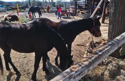 Casa Bozzero - Photo 71