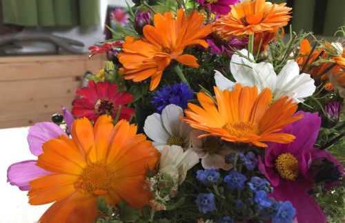 FEWO Jäger - Foto 9