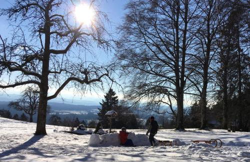 Alpenblick-Steineckhof - Foto 12