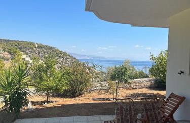 Mikro Amoni Beach Villa - Foto 44