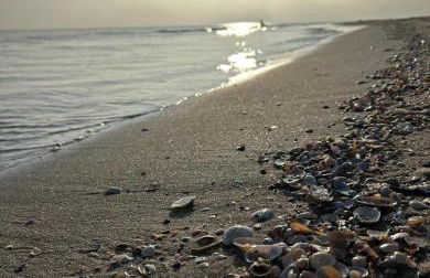 Ferienwohnung Wegner - Foto 33