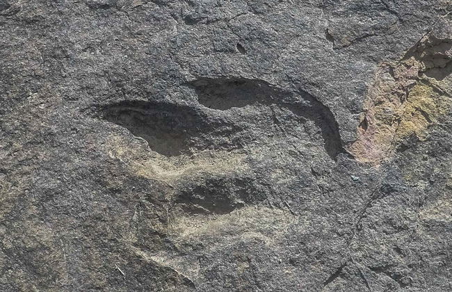 Sucre Tour + Cal Orck'o Park - Foto 2