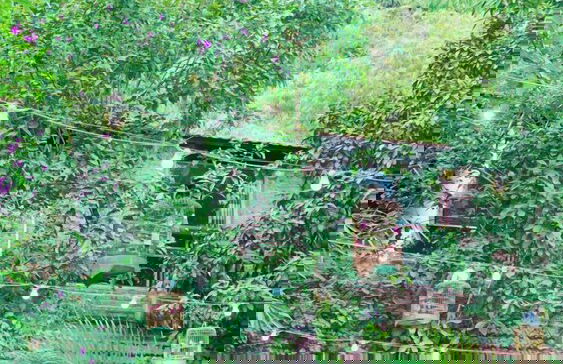 Trang An Gold Village - Foto 14