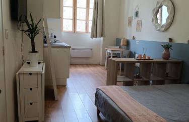 Stella Studio Cosy proche tram - - Foto 8