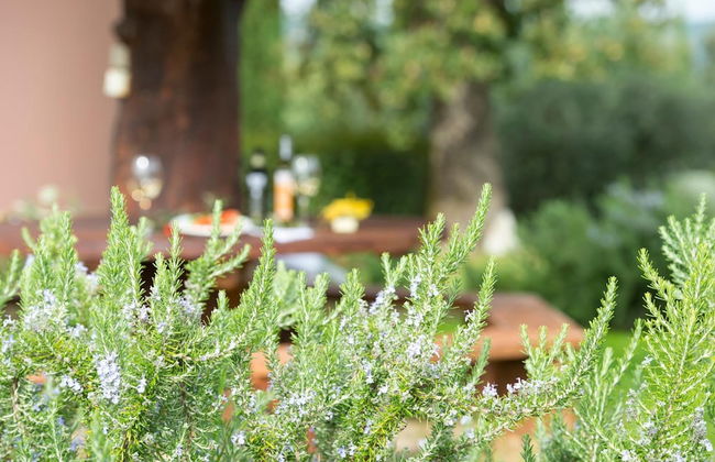 Agriturismo Poggio Corbello - Foto 37