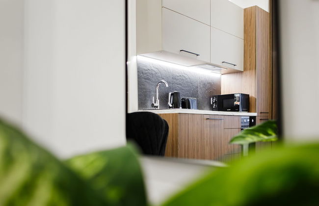 RIGAAPARTMENT ELIZABETES 22 Aparthotel - Photo 67