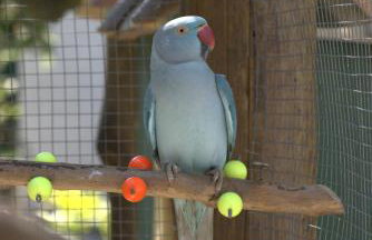 Casa espaçosa famíliar - Foto 19