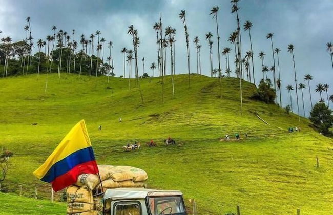 SAN PEDRO SALENTO APARTAHOTEL - Photo 22