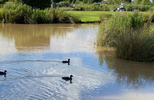 New Farm Holidays - Photo 18