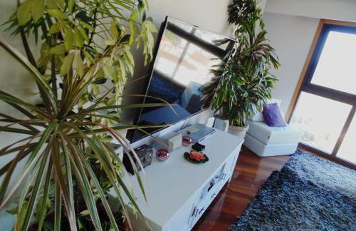 Duplex grandes cristaleras impresionantes vistas - Foto 5