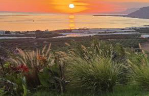 Casa di Olive - Foto 38