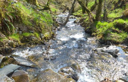 3 Bed in Llanllwni 91447 - Foto 30