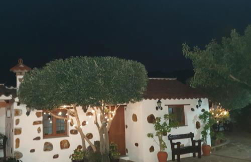 La Gallania de Papá Pepe - Foto 10