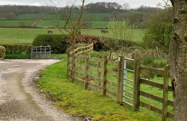 Willow View, Cartmel - Foto 12