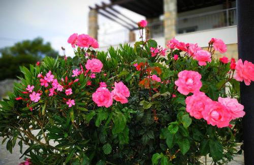 Holiday Home Kaic - Foto 83