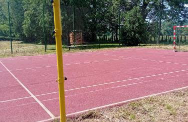 Temeszówka domek do wynajęcia - Foto 20