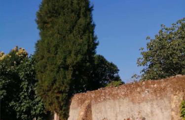 Casa de Arcos - Foto 55