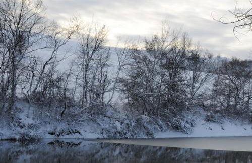 Pianderna Agriwellness - Photo 35