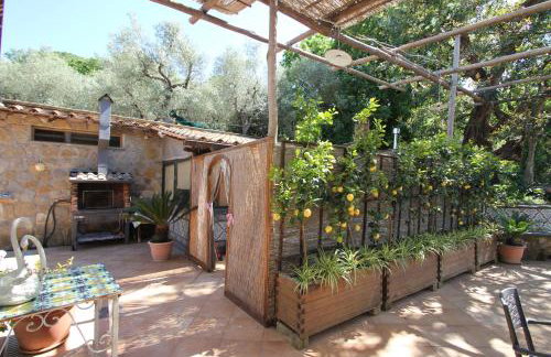 Tenuta Camporosso - Photo 15