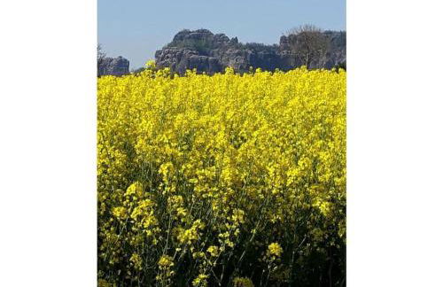 II "Old School" Comfortable holiday residence - Foto 13