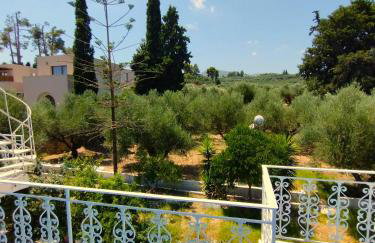 Blue Studios by Irene - Photo 11