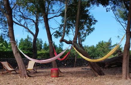 Quinta dos Sentidos Eco Nature Retreat in Azores - Photo 25