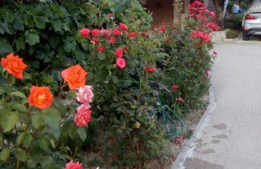 Apartment Olive - Foto 10