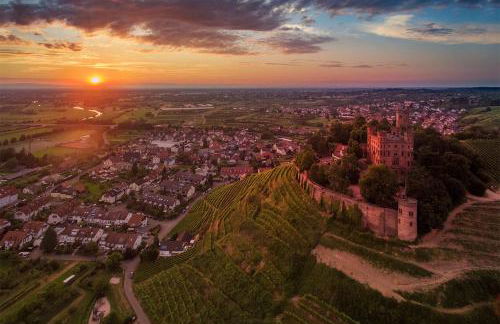 SK Ferienapartments Kappelrodeck - Photo 36