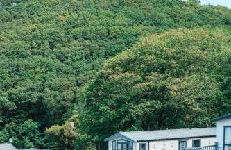 Foxglove Lodge - Photo 7