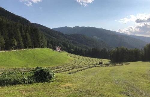 Planatschhof - Photo 56