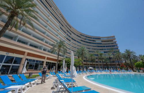 Seagulls melody C-209 - Foto 20