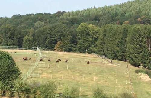 Haus Sonnenschein - Foto 3