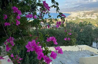 Blue Horizon Apartments - Foto 52