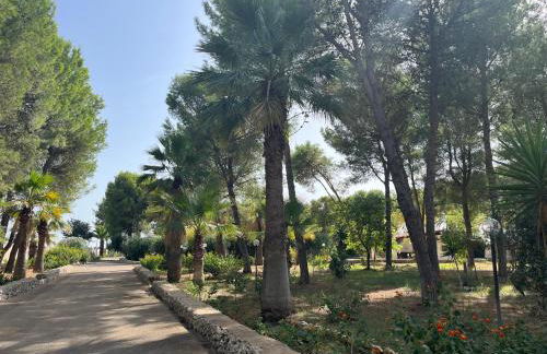 Casette Masseria La Camardia - Foto 58