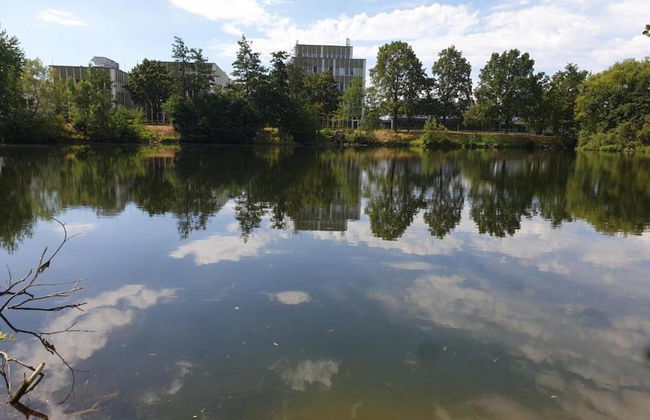 Ferienhaus, Schontal-winzenhofenn - Foto 39
