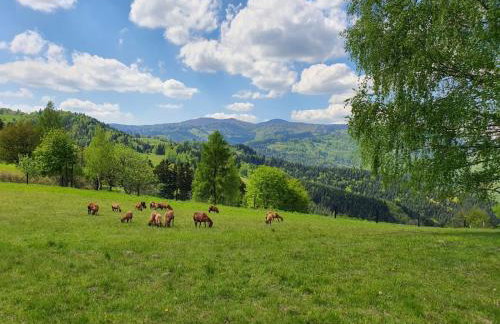 Honeyinn Domek mały - Photo 6