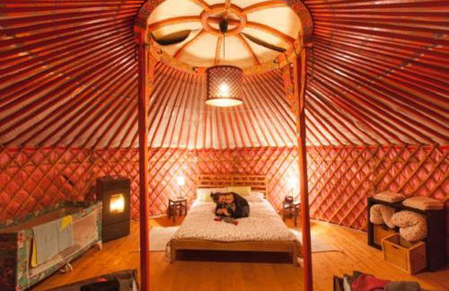 Società Agricola Cacigolara - Photo 133