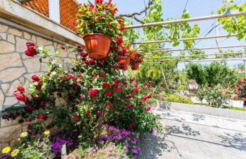 Apartman Gržetić - Foto 33