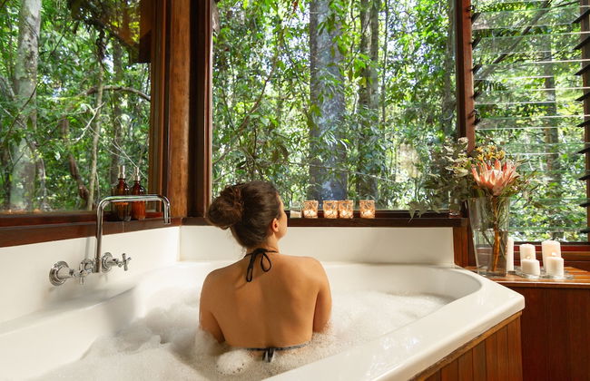 The Canopy Rainforest Treehouses and Wildlife Sanctuary - Foto 11