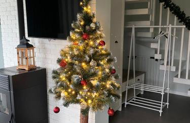 Domki całoroczne Zacisze Bałtów - Foto 79