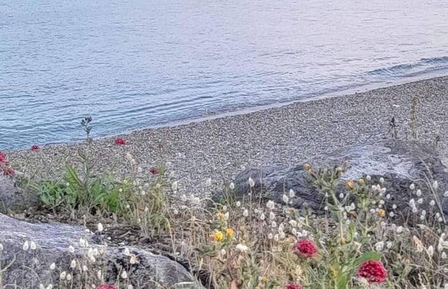 Remarkable Seaside Apartment - Sleeps 4 - Foto 26