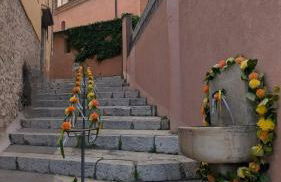 charmant 2 pièces vue Saint Paul de Vence 1 chambre - Foto 25