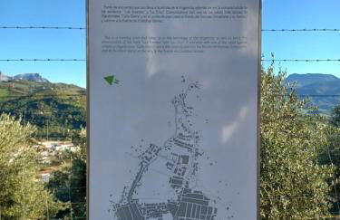 Casa Diego. Algodonales (Cadiz) - Photo 38