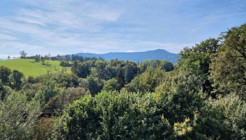 Ferienwohnung Schimmer mit Bergblick im ruhigen, naturverbundenen Ferienpark Vorauf, Siegsdorf - Foto 2