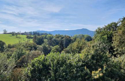 Ferienwohnung Schimmer mit Bergblick im ruhigen, naturverbundenen Ferienpark Vorauf, Siegsdorf - Foto 2