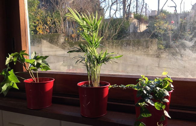 Dom Ruas Apartment - Foto 18