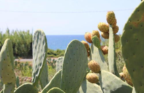 Villa Aimone - Foto 42