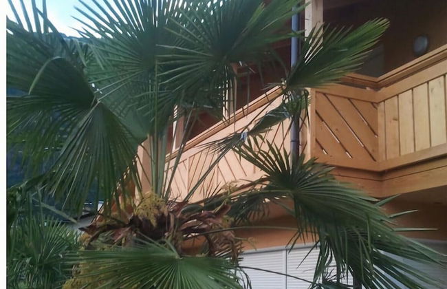 Lagrein in the Prantenbergergut - Foto 1